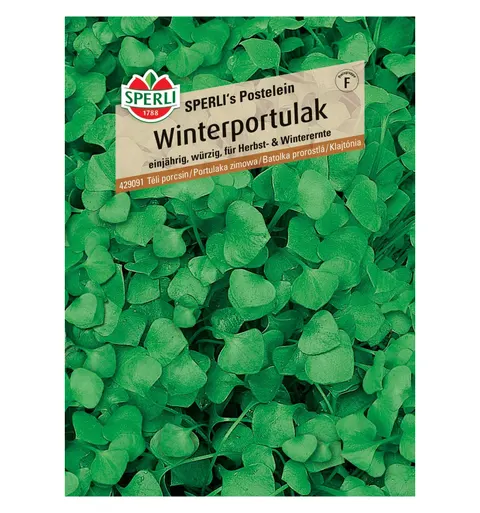 Portulaka zimowa 'SPERLI's Postelein' Nasiona PREMIUM Sperli