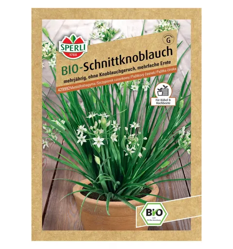 BIO szczypiorek czosnkowy '' Nasiona PREMIUM Sperli