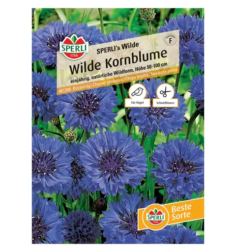Chaber bławatek 'SPERLI's Wilde' Nasiona PREMIUM Sperli