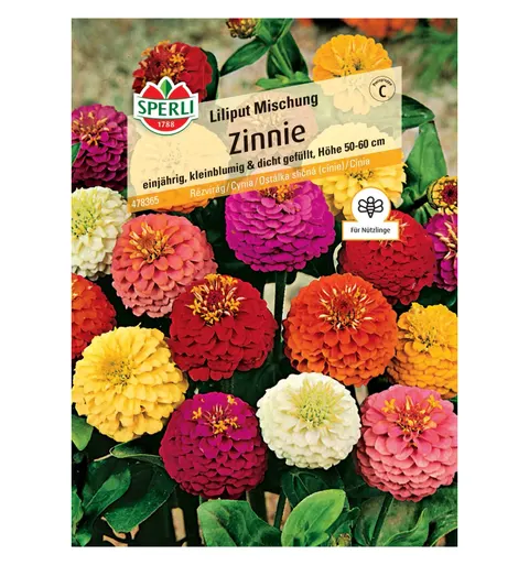 Cynia 'Liliput Mischung' Nasiona PREMIUM Sperli