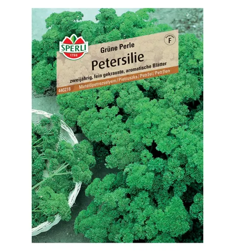 Pietruszka 'Grüne Perle' Nasiona PREMIUM Sperli