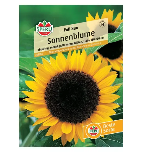 Słonecznik 'Full Sun' Nasiona PREMIUM Sperli