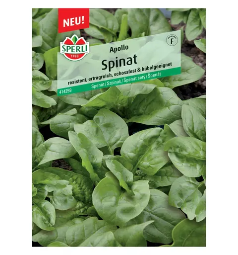 Szpinak 'Apollo, F1' Nasiona PREMIUM Sperli