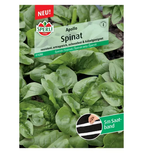 Szpinak 'Apollo, F1' Nasiona PREMIUM Sperli