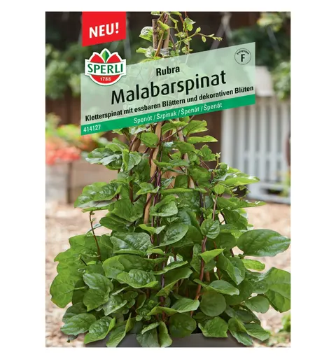 Szpinak malabarski 'Rubra' Nasiona PREMIUM Sperli