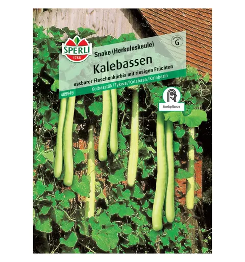 Tykwa 'Snake (Herkuleskeule)' Nasiona PREMIUM Sperli