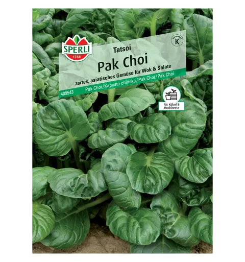 Kapusta chińska 'Tatsoi' nasiona Sperli