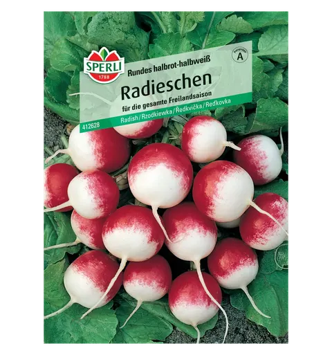 Rzodkiewka 'Rundes halbrot-halbweiß' Nasiona Sperli