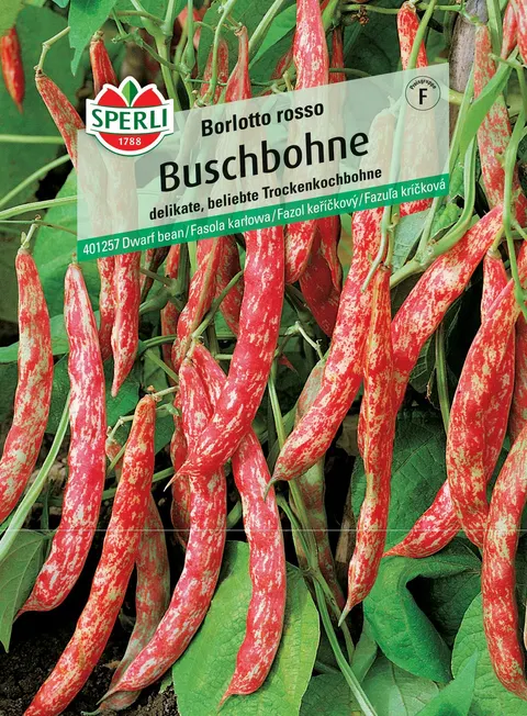 Fasola karłowa Buschbohne Borlotto Rosso SPERLI