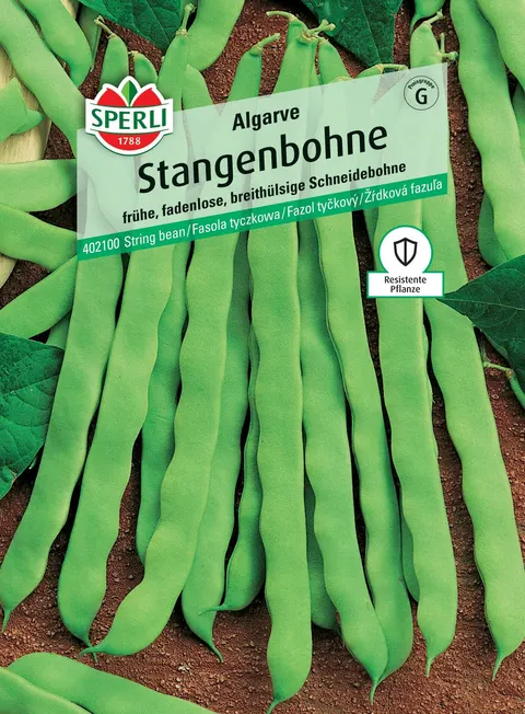 Fasola tyczna Stangenbohne Algarve SPERLI