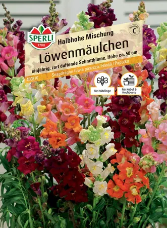 Lwia paszcza Löwenmäulchen Halbhohe Mischung Nasiona Premium Sperli