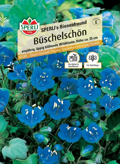 Facelia SPERLI's Bienenfreund Nasiona Premium Sperli