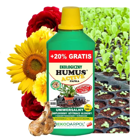 EKODARPOL HUMUS ACTIVE PAPKA Uniwersalny 1L + 20% gratis