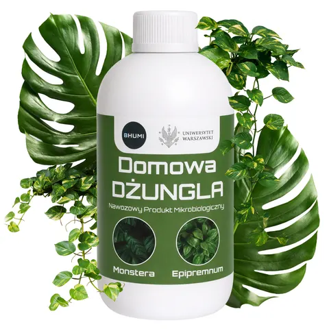 BHUMI Domowa Dżungla: Monstera, Epipremnum 0,5 L