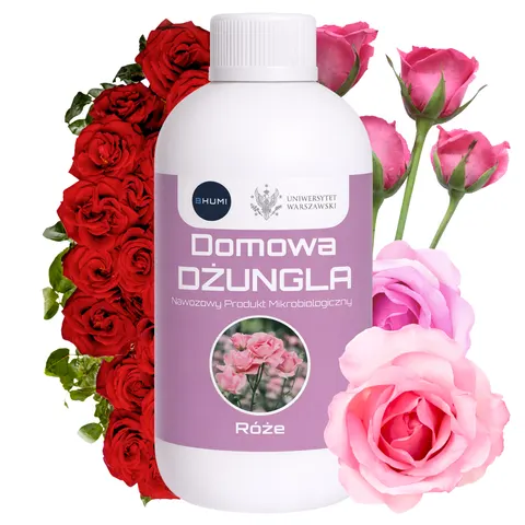 BHUMI Różana Elegancja seria Domowa Dżungla: 0,5 L