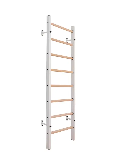 Drabinka gimnastyczna wielofunkcyjna BenchK 200W