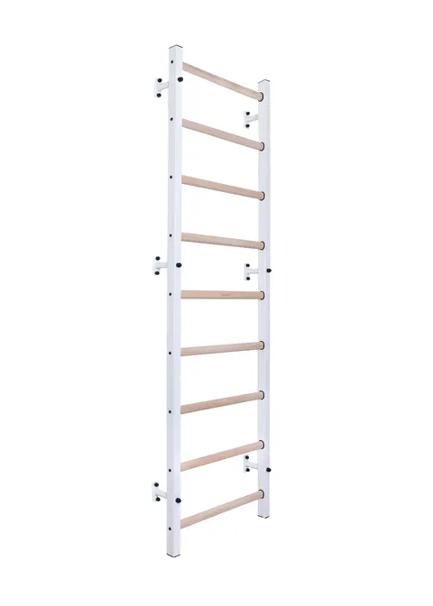 Drabinka gimnastyczna wielofunkcyjna BenchK 700W