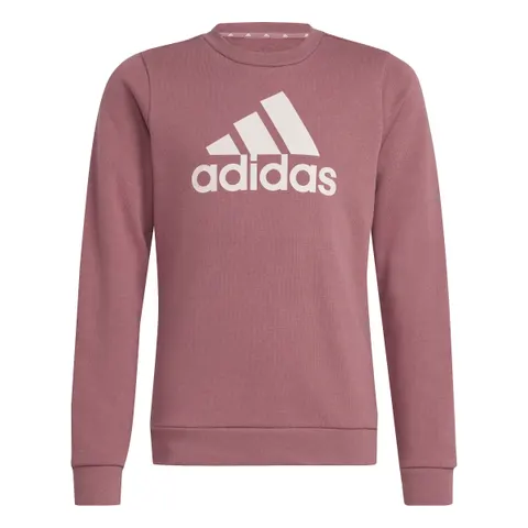 bluza adidas Essentials Big Logo IZ3434