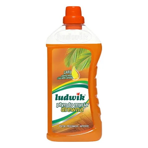 LUDWIK