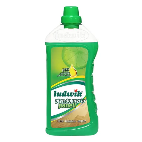 LUDWIK