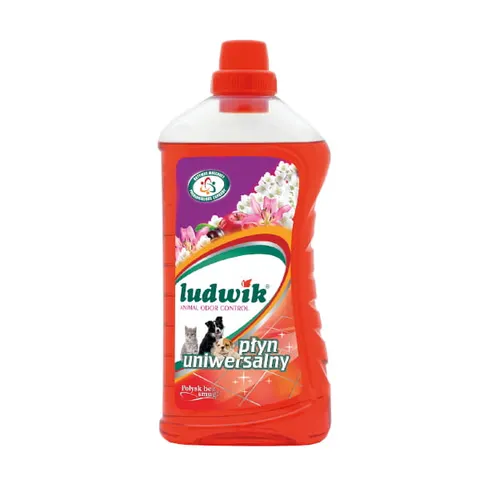 LUDWIK