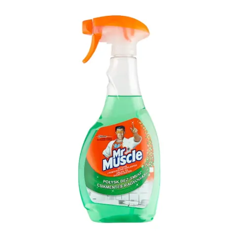 MR MUSCLE