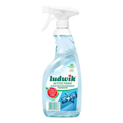 LUDWIK