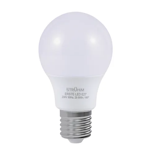 Żarówka SMD LED ERSTE LED E27 8W CW