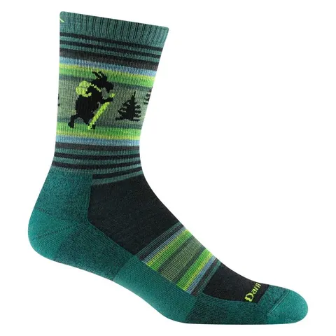 Skarpety trekkingowe Darn Tough M'S Willoughby Micro Crew Lightweight Hiking Sock – Willow