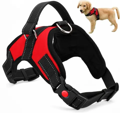 MOCNE SZELKI DLA PSA BEZUCISKOWE LEKKIE S 50-62 CM