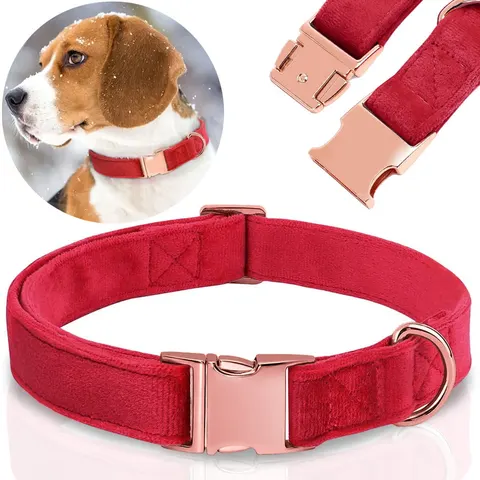 SOLIDNA OBROŻA WELUROWA DLA PSA REGULOWANA MIĘKKA ROSE GOLD 27-45cm S/M