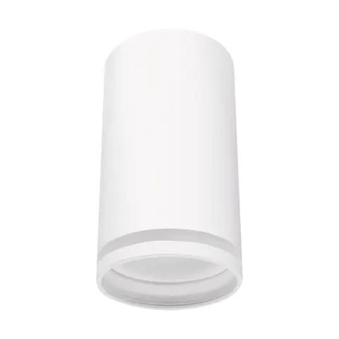 Oprawa sufitowa ZULA DWL GU10 WHITE
