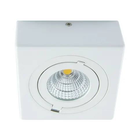 Oprawa sufitowa COB LED IGOR LED D 9W WHITE NW