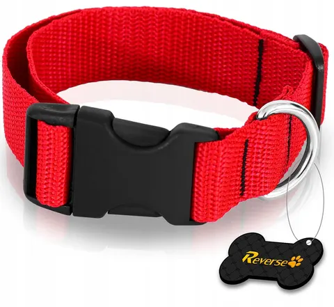 SOLIDNA OBROŻA TAŚMOWA DO PSA REGULOWANA 30-45cm M
