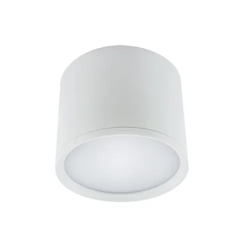 Oprawa sufitowa SMD LED ROLEN LED 10W WHITE NW