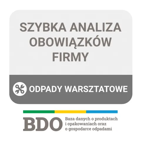 Usługa analizy danych w BDO - Branża automotive / motoryzacyjna