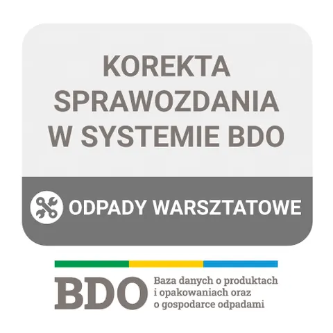 Usługa korekty sprawozdania w BDO - Branża automotive / motoryzacyjna