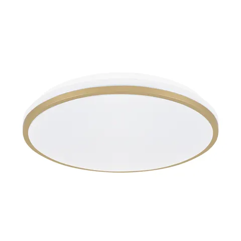 Plafoniera SMD LED LINUS LED C 24W NW