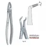 Kleszcze ekstrakcyjne mod. Europejski do korzeni dolnych fig. 45