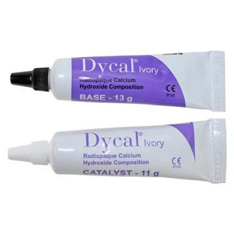 Dycal 24g