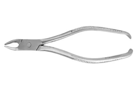 Kleszcze Meissner fig. 2 średnie