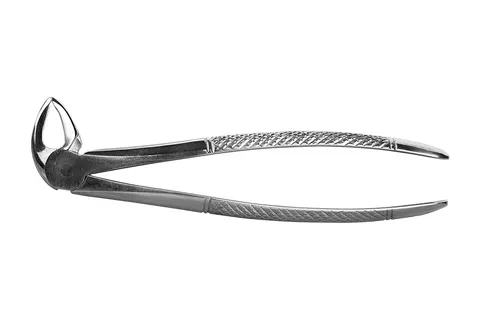 Kleszcze Berten fig. 33 dolne korzenie