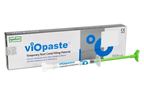 VioPaste 2 g x 1 szt. Spident