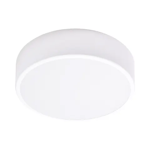 OVO plafon LED, 43W, 4000K, 4750lm, biała stal, klosz szklany matowy, IP20, O 400