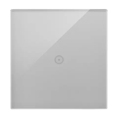 SIMON54 Touch Panel dotykowy S54 Touch, 1 moduł, 1 pole dotykowe, srebrna mgła