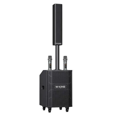 Przenośny głośnik bezprzewodowy w-king k22 z 2 mikrofonami czarny
