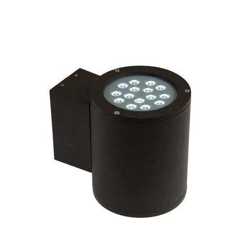 Torre 2x15led CREE 15st 230V 30W IP44 CW NaŚcienne
