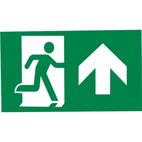 Pictogram EXILON 4,5W - forth