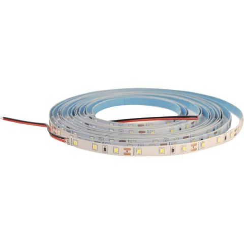 DAISY LED STRIP 60LED/m IP20 CW 30m 4W/m - Taśma LED samoprzylepna na krążku