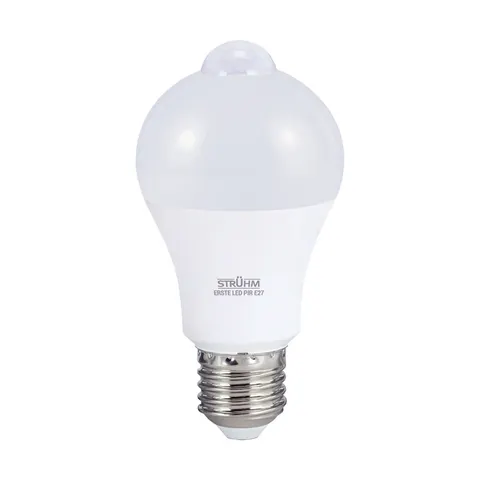 Żarówka z czujnikiem ruchu ERSTE LED PIR E27 12W NW